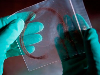 Нетстандартный образец ДНК: Волосы